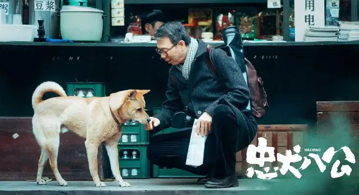 在国外怎么听国内的歌指南